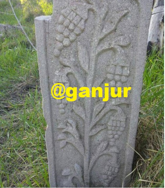انگور در دفینه یابی